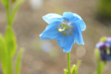 個人情報保護方針