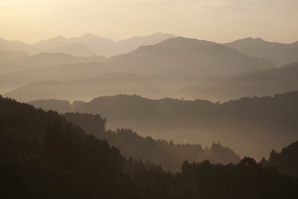 訪問マッサージ会社のペーパーカンパニー 幽霊会社について | 運営実態がない事業所を不正請求(水増し請求)やあん摩マッサージ指圧師の求人エリアの拡大に利用している実態