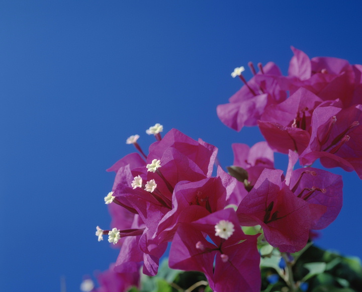 急性期病院の中間管理職として働く理学療法士のやりがいと葛藤　チームメンバーとの関係について