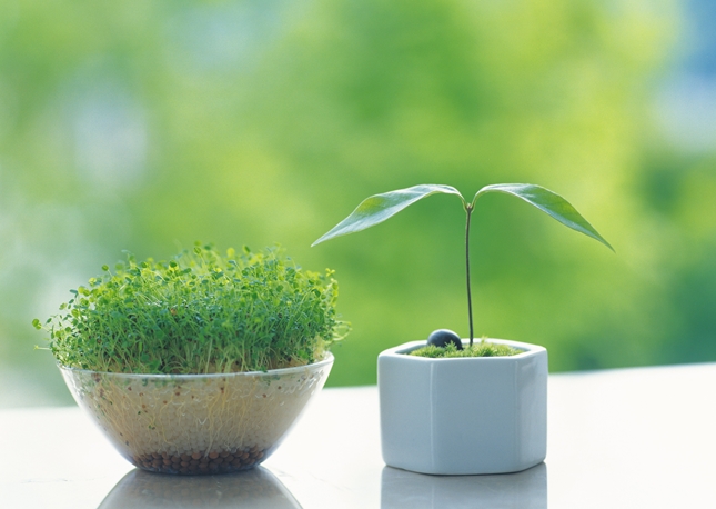 効果を実感したリハビリメニューと内容