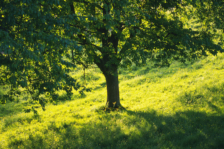 ここが問題、理学療法士